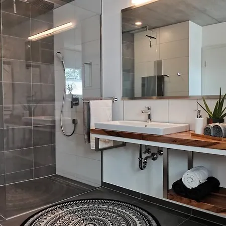 Moderne Rhenum Mit Wallbox * Waldshut-Tiengen