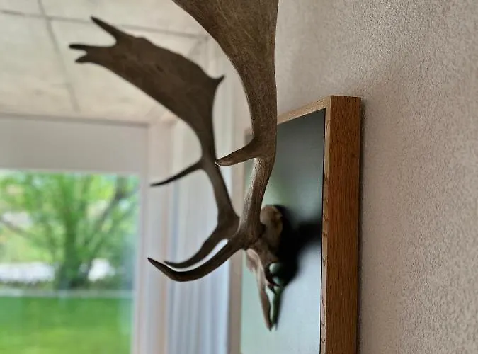 Moderne Rhenum Mit Wallbox Feriehus Waldshut-Tiengen